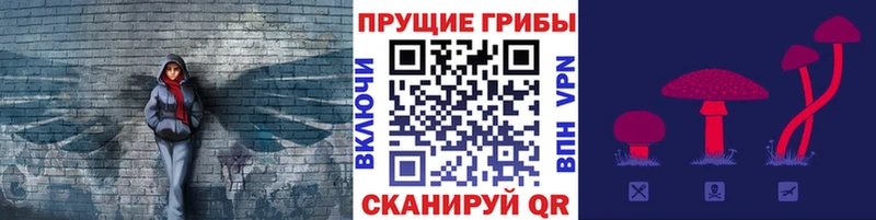 Галлюциногенные грибы GOLDEN TEACHER  hydra зеркало  Куса 